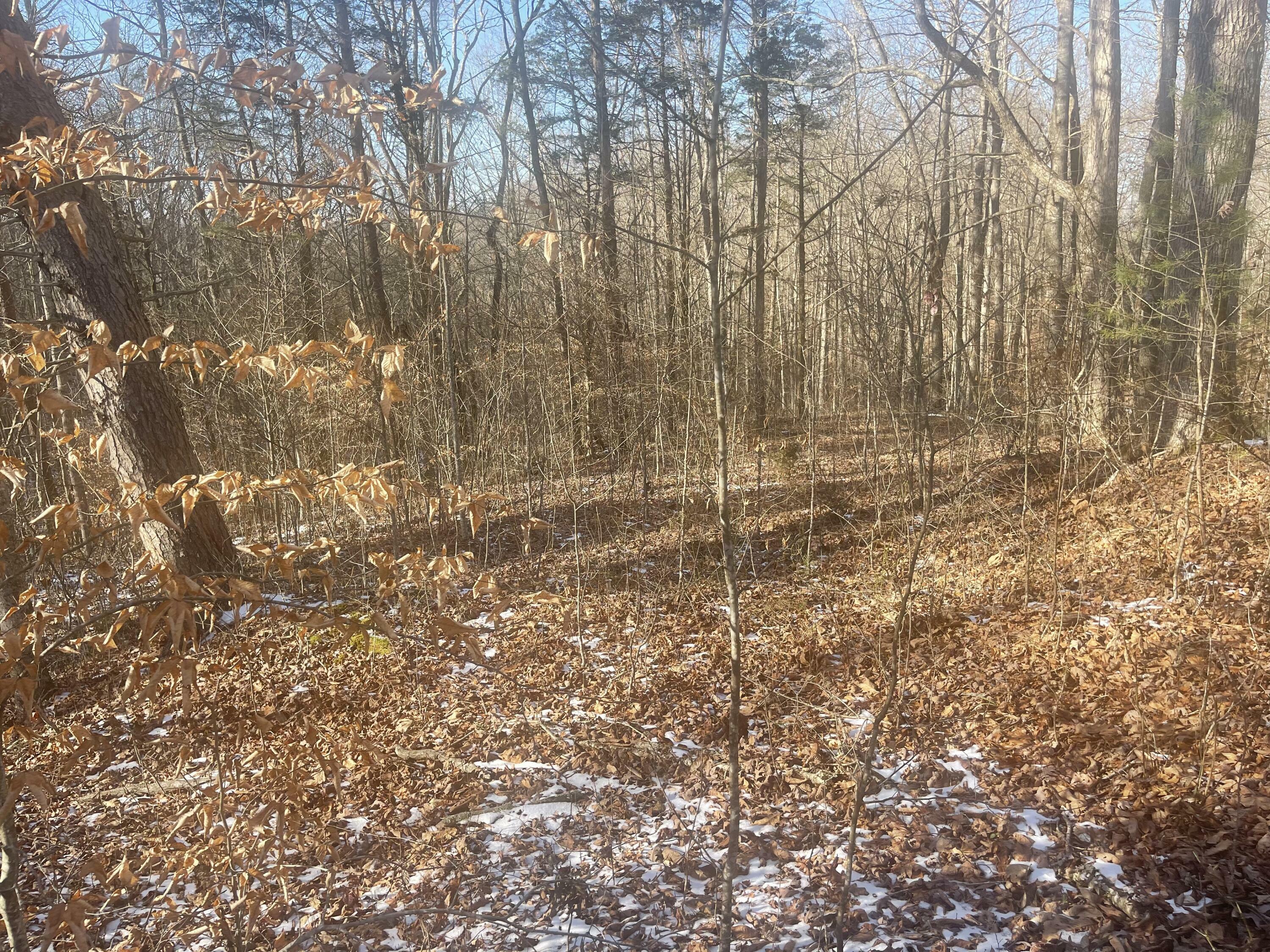 Property Photo: Lot 2 Cumberland Shores KY 42633