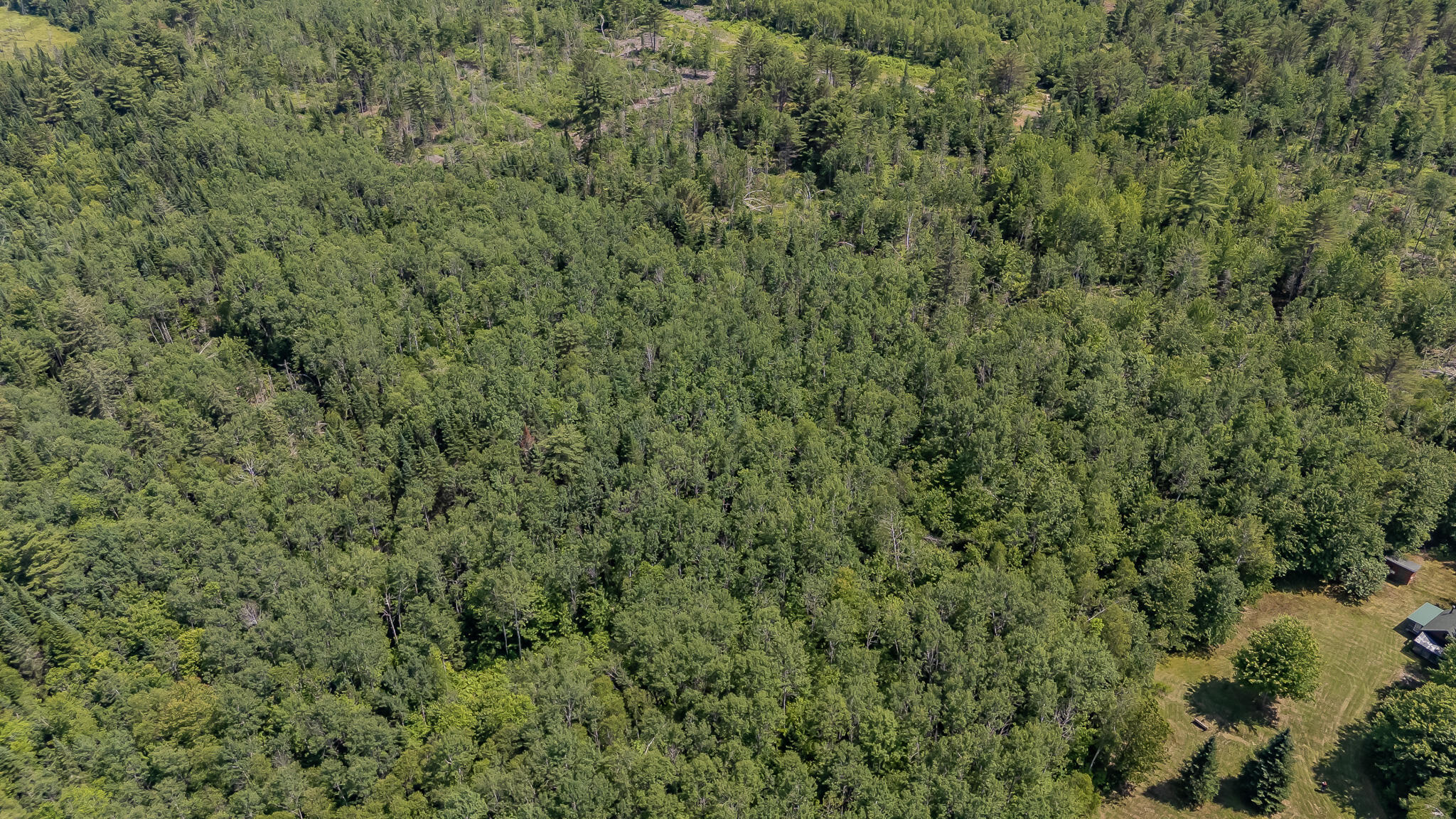 Property Photo: Lot 4 Brimstone Road ME 04453