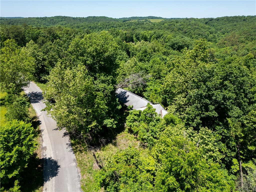 Property Photo: 382 County Road 148 AR 72632