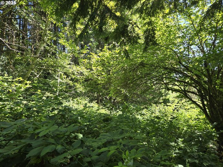 Property Photo: 1225 SW Ryan Allen Rd WA 98648