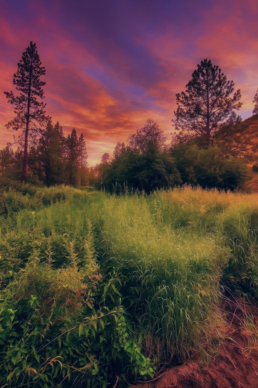 Property Photo: 38010 Redwine Canyon Rd N Rd WA 99147