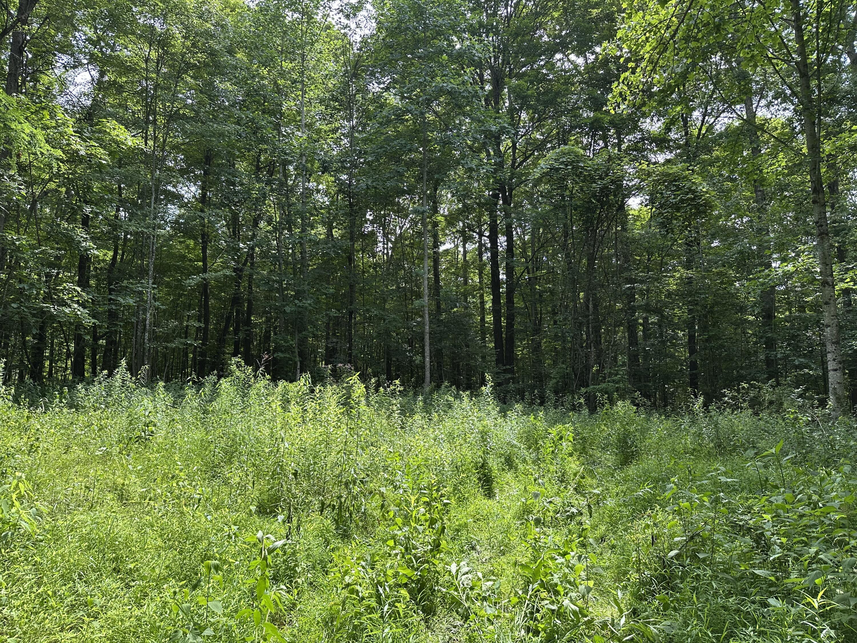 Property Photo: Molly Road WV 24931