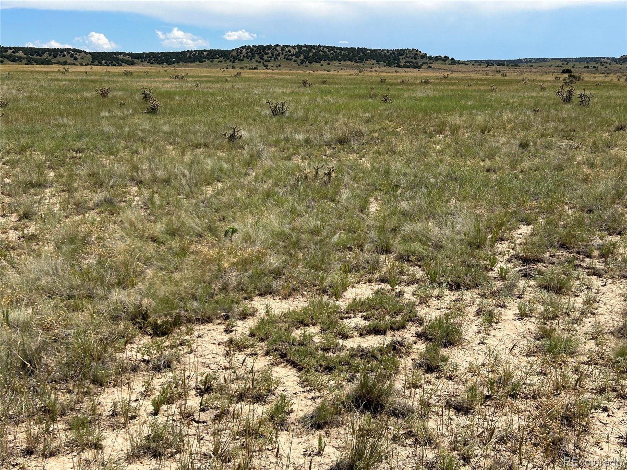 Property Photo:  4 Outback Ranch  CO 81059 