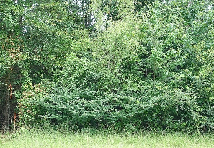 Property Photo: 1249 Fm 326 TX 75901