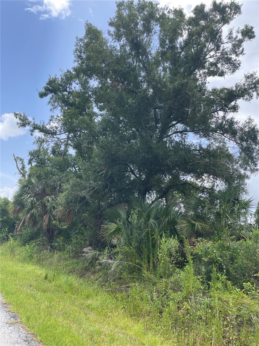 Property Photo:  Bellefonte  FL 34286 