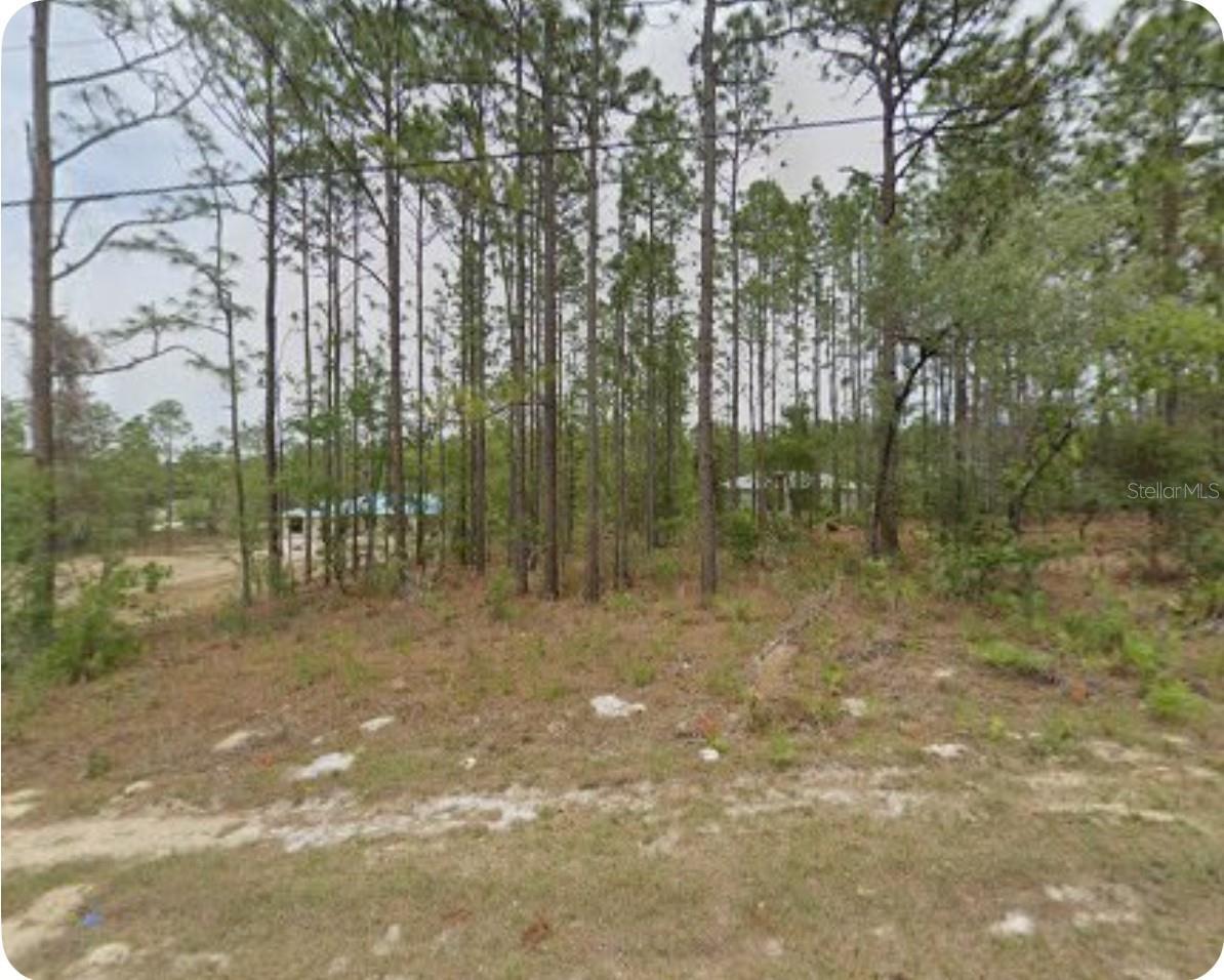 Property Photo: 1561 W Gainsboro Lane FL 34434