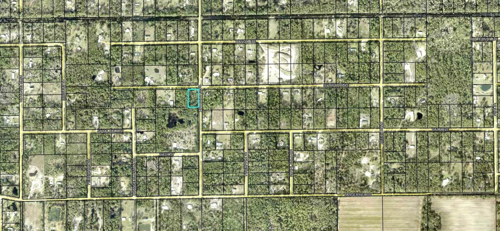 Property Photo: 5958 Nutwood Avenue FL 32110