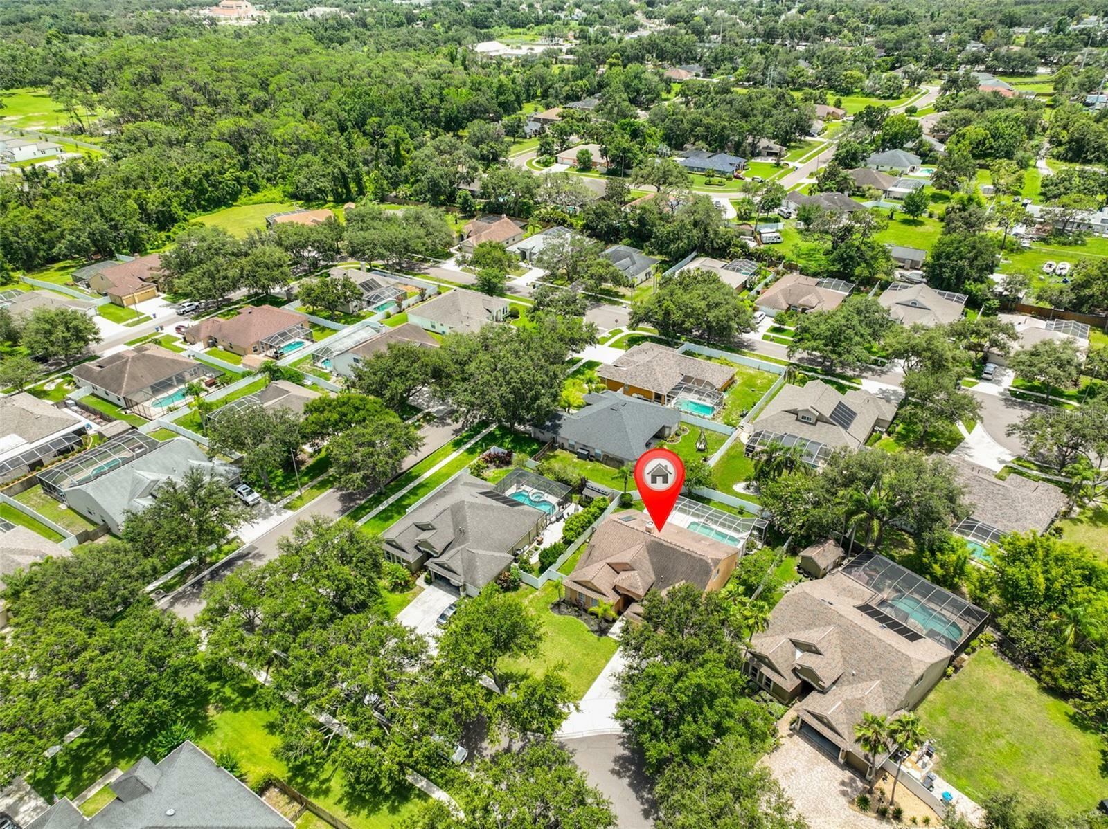 Property Photo: 12305 Freesia Court FL 33569