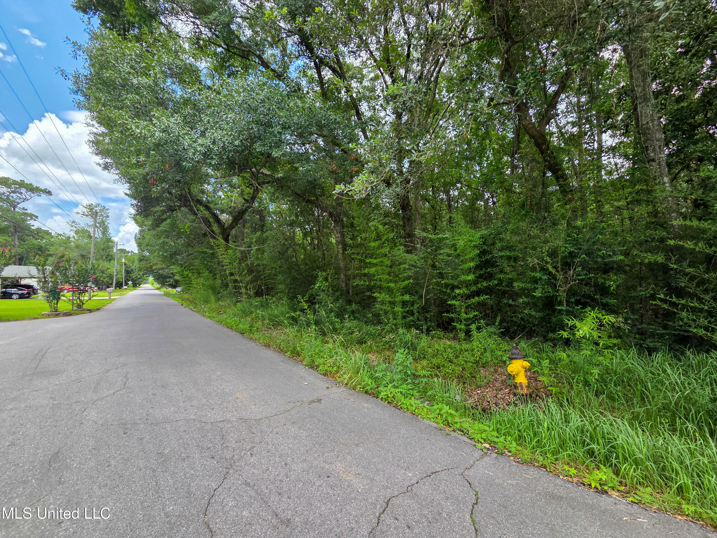 Property Photo: Frank Griffin Road MS 39563