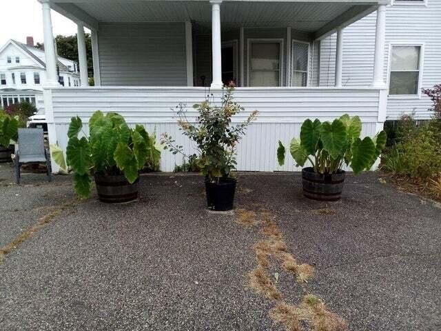 Property Photo: 824 Main Street ME 04073