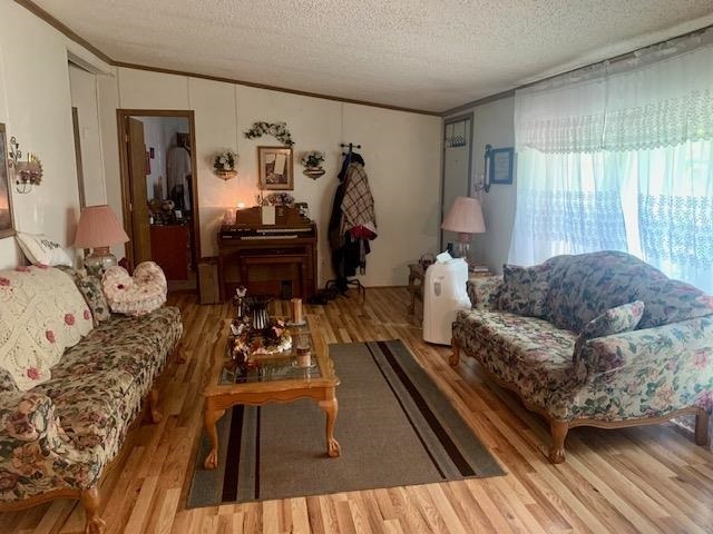 Property Photo: 7755 M32 East MI 49751