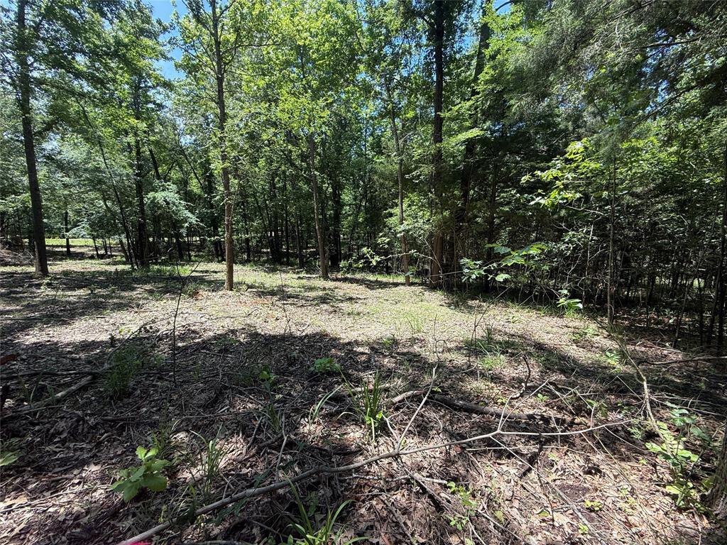 Property Photo: Tbd Pr 5861 (Lot 6) TX 75497