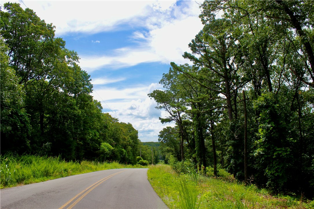 3990 Cr-207  Eureka Springs AR 72632 photo