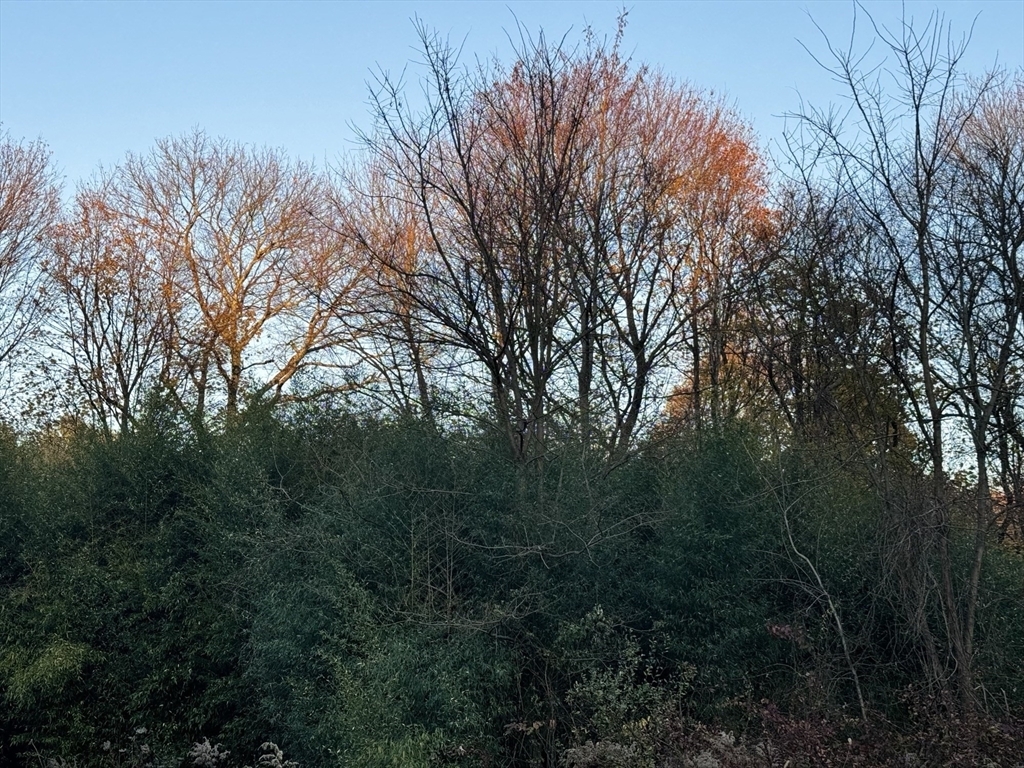 Property Photo: Lot 3 Lawler Ln MA 02072