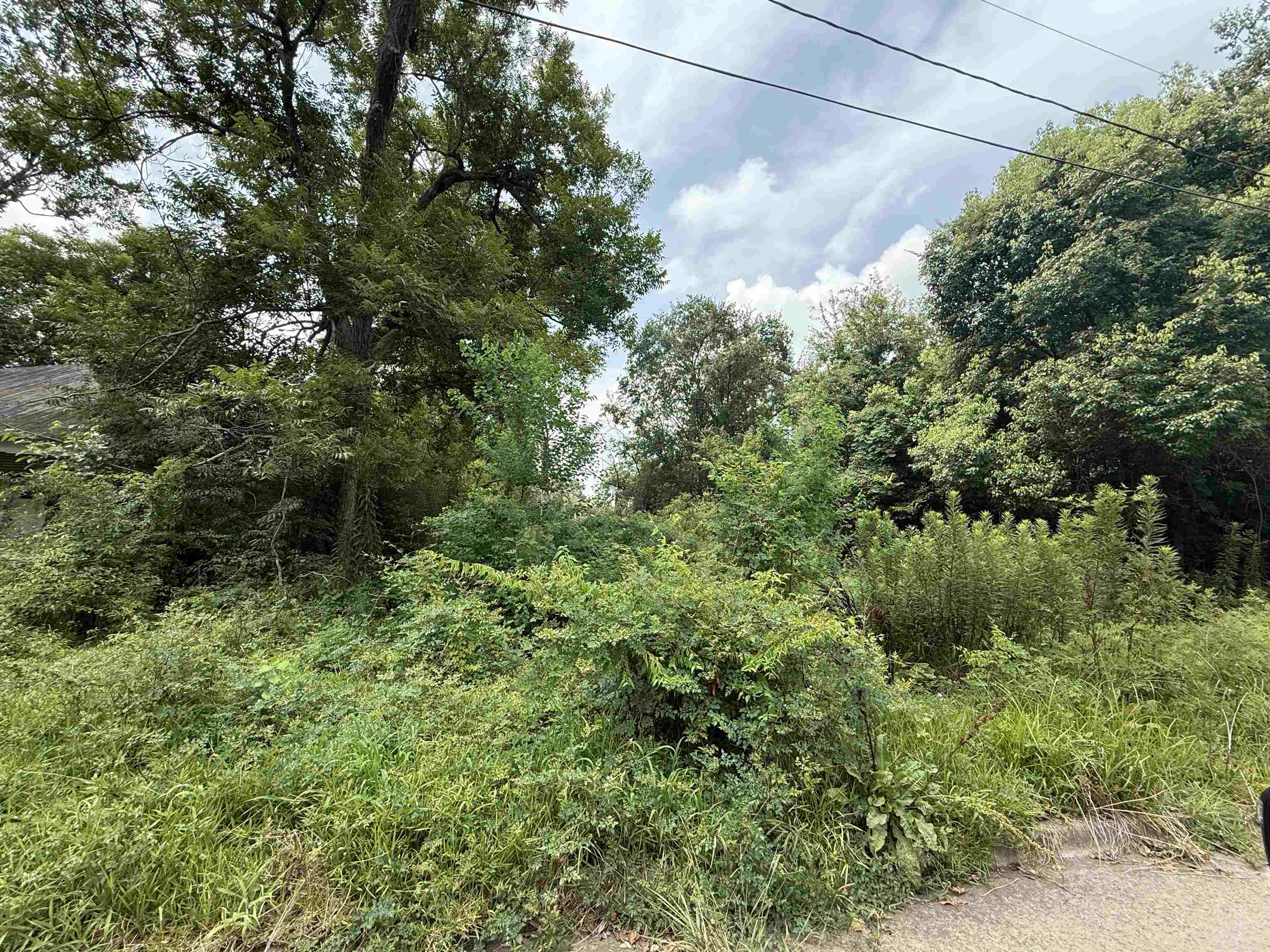 Property Photo: 1209 W Orange TX 77630