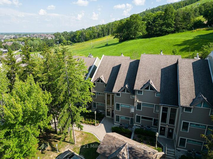 Photo de la propriété: 796404 Grey Road 19 N/A 121 ON L9Y 0N8