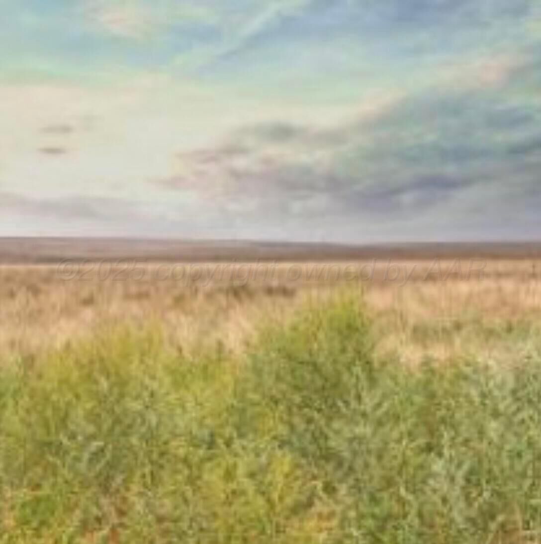 Property Photo: Fm 2587 TX 79098