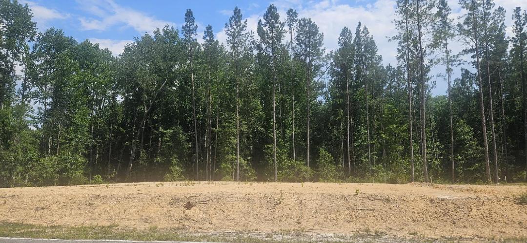 Lot 1 County Line Road  Mitchell GA 30820 photo