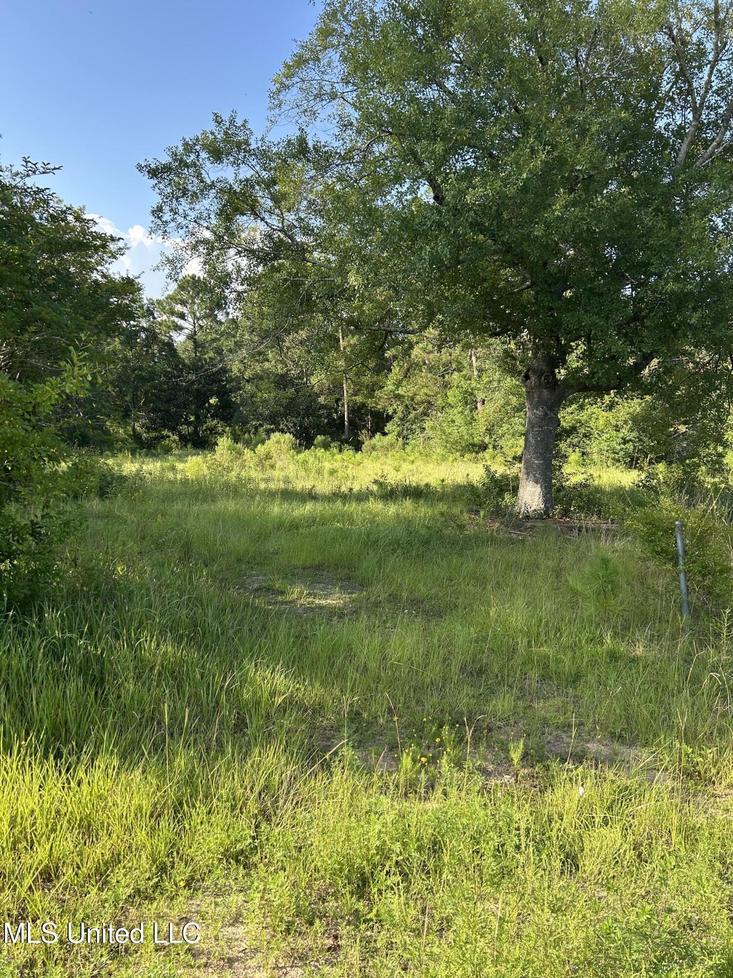 Property Photo: 0 Woolmarket Road MS 39532