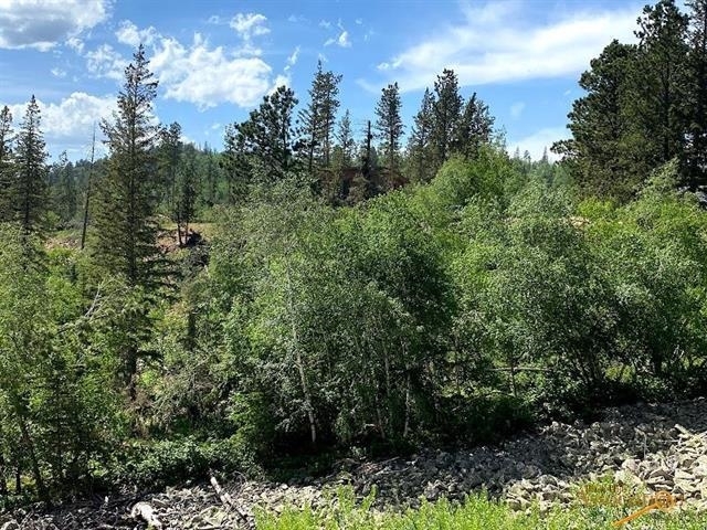 Property Photo: Lot 24 Blue Sky Loop SD 57754