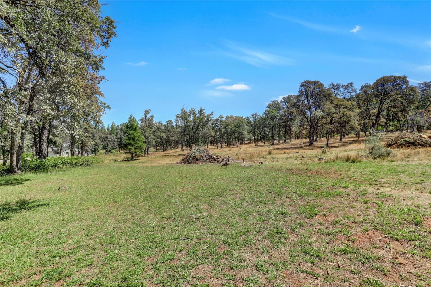 Property Photo: 10077 Hard Rock Road CA 95975