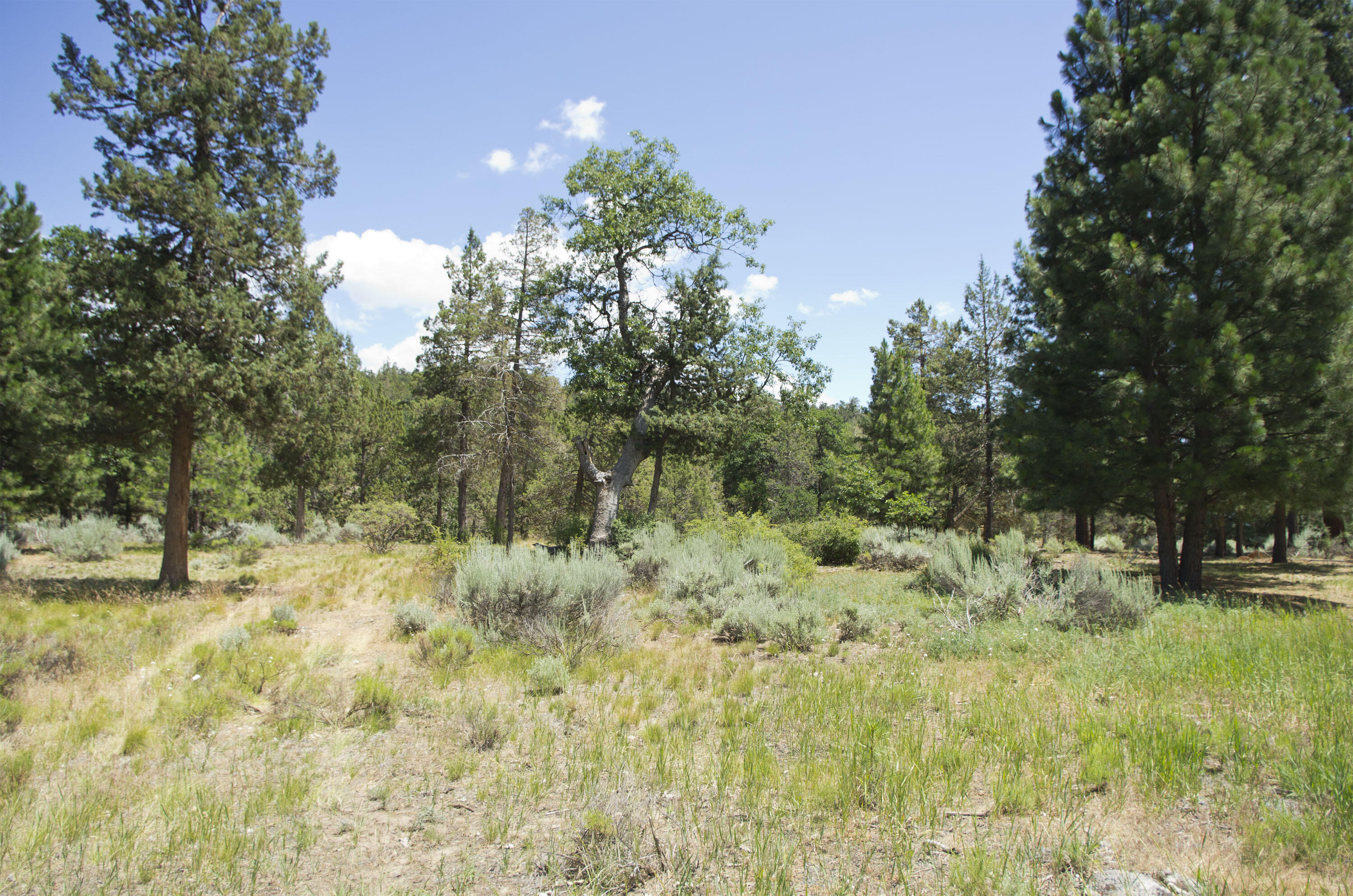 Property Photo: Kestrel Rd Lot 727 OR 97601