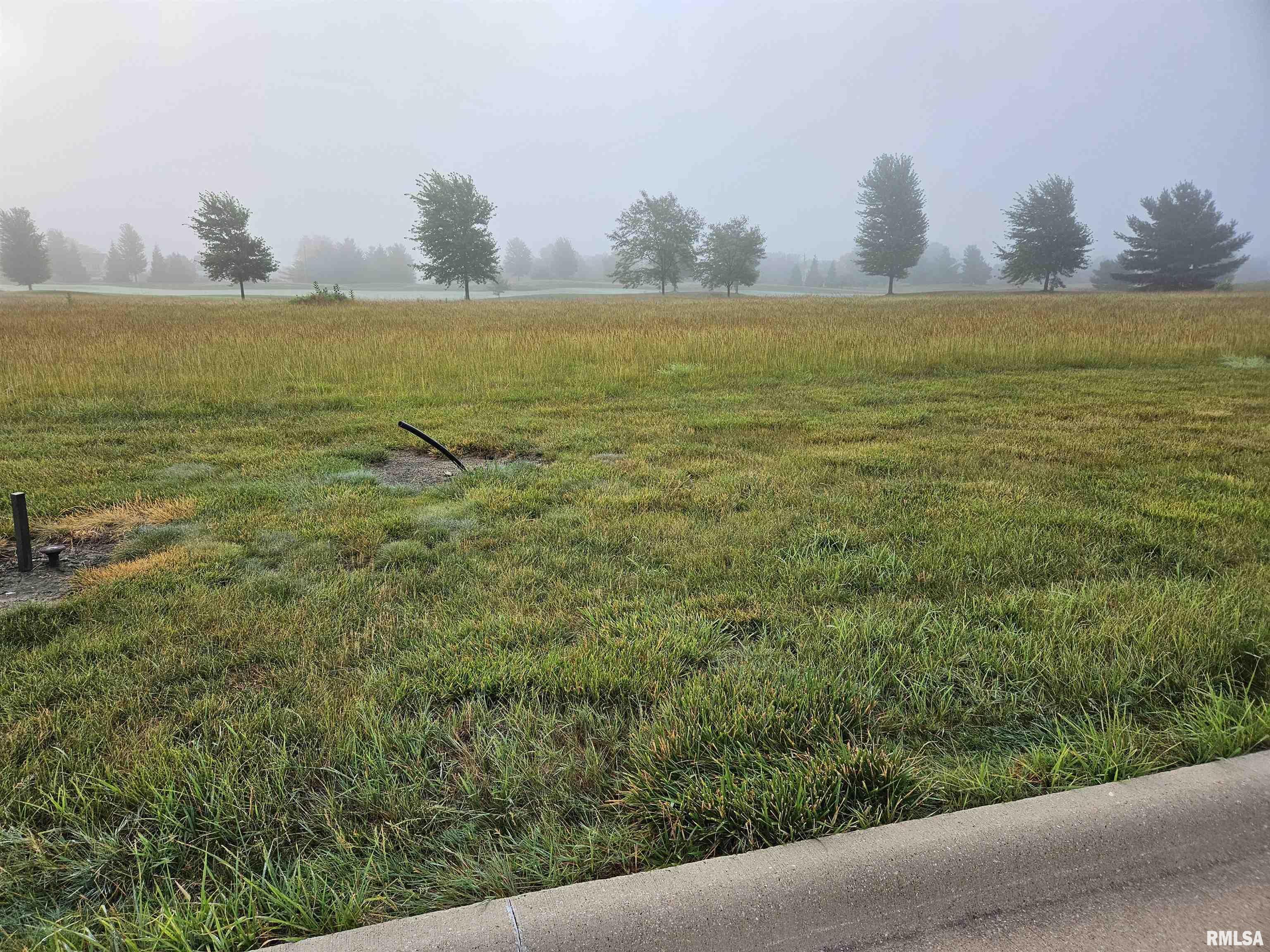 1023 Harmon Lane  Metamora IL 61548 photo