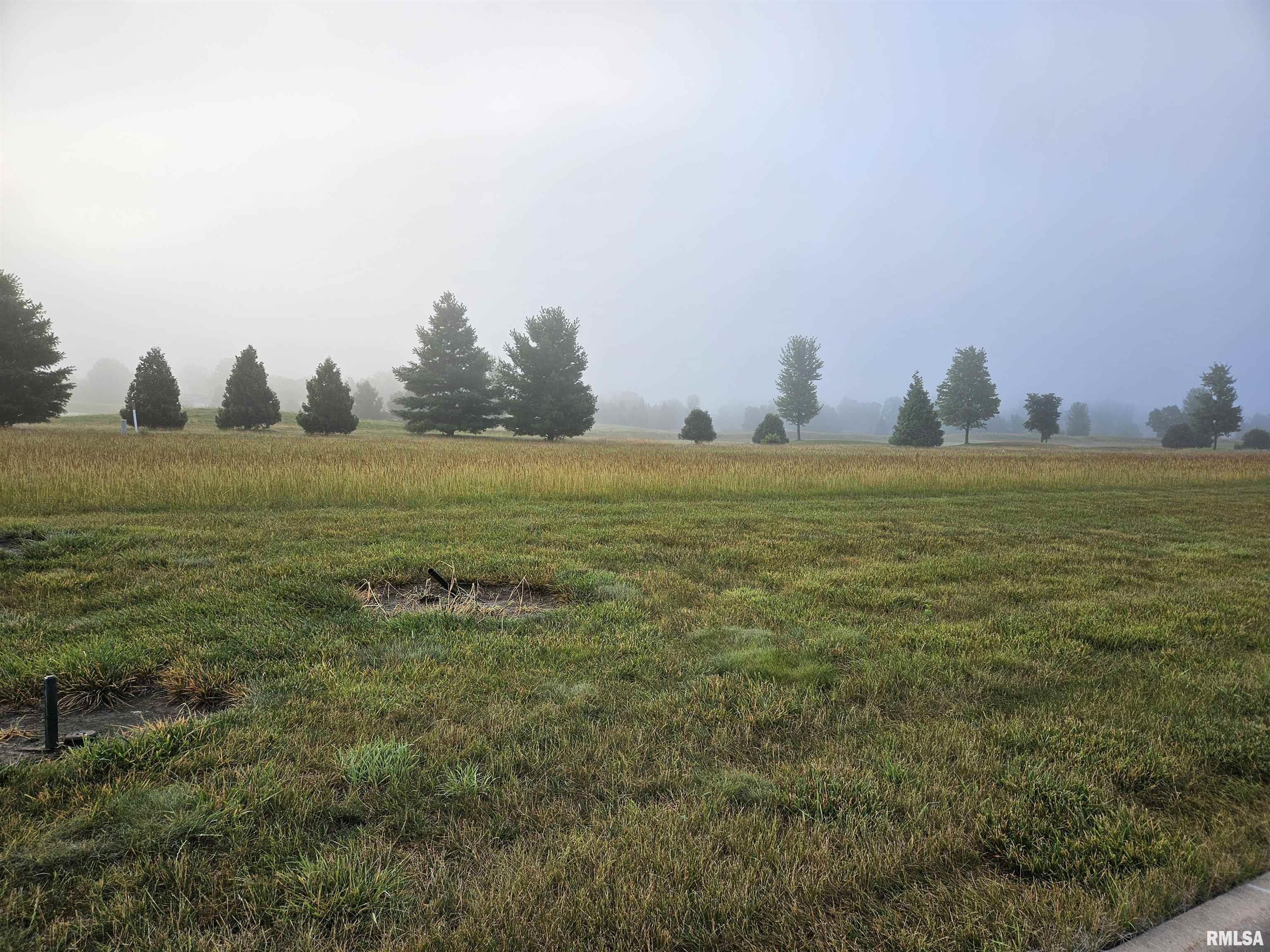 Property Photo:  1027 Harmon Lane  IL 61548 