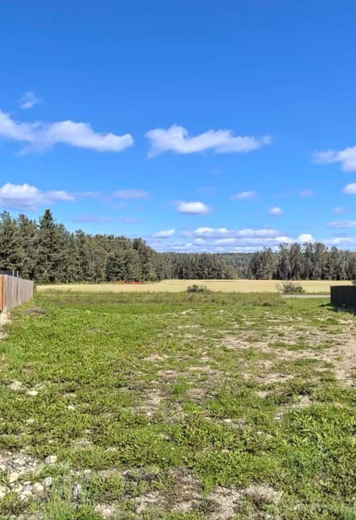 58 Rockhaven Way  Whitecourt AB T7S 0E5 photo