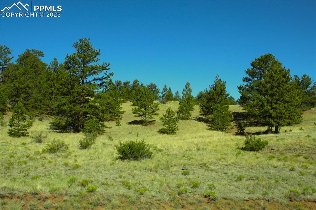 Property Photo: Hill Road CO 80449