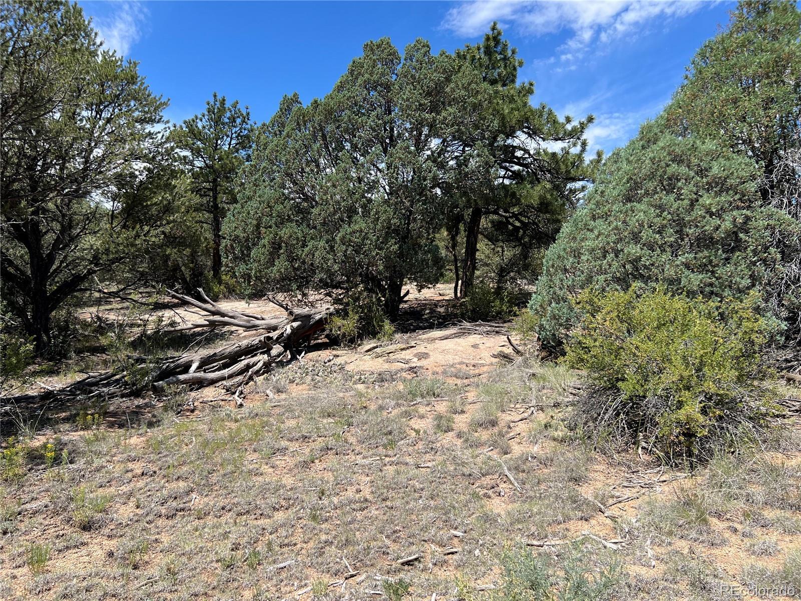 Property Photo: 216 West View Road CO 81223