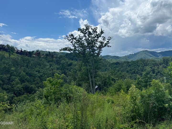 Property Photo:  Lot 24 Coopers Hawk Way  TN 37862 