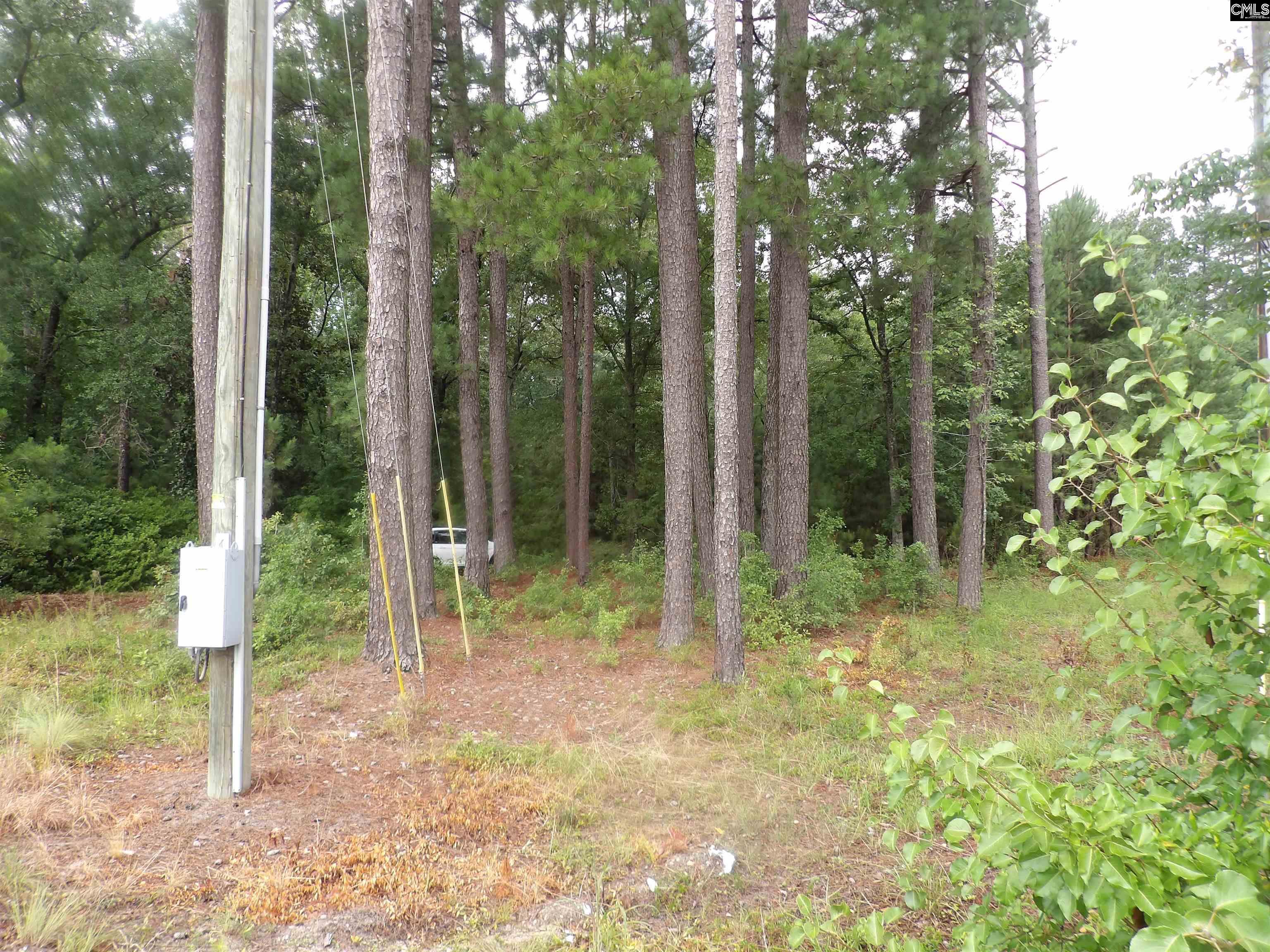 4610 Platt Springs  West Columbia SC 29170 photo