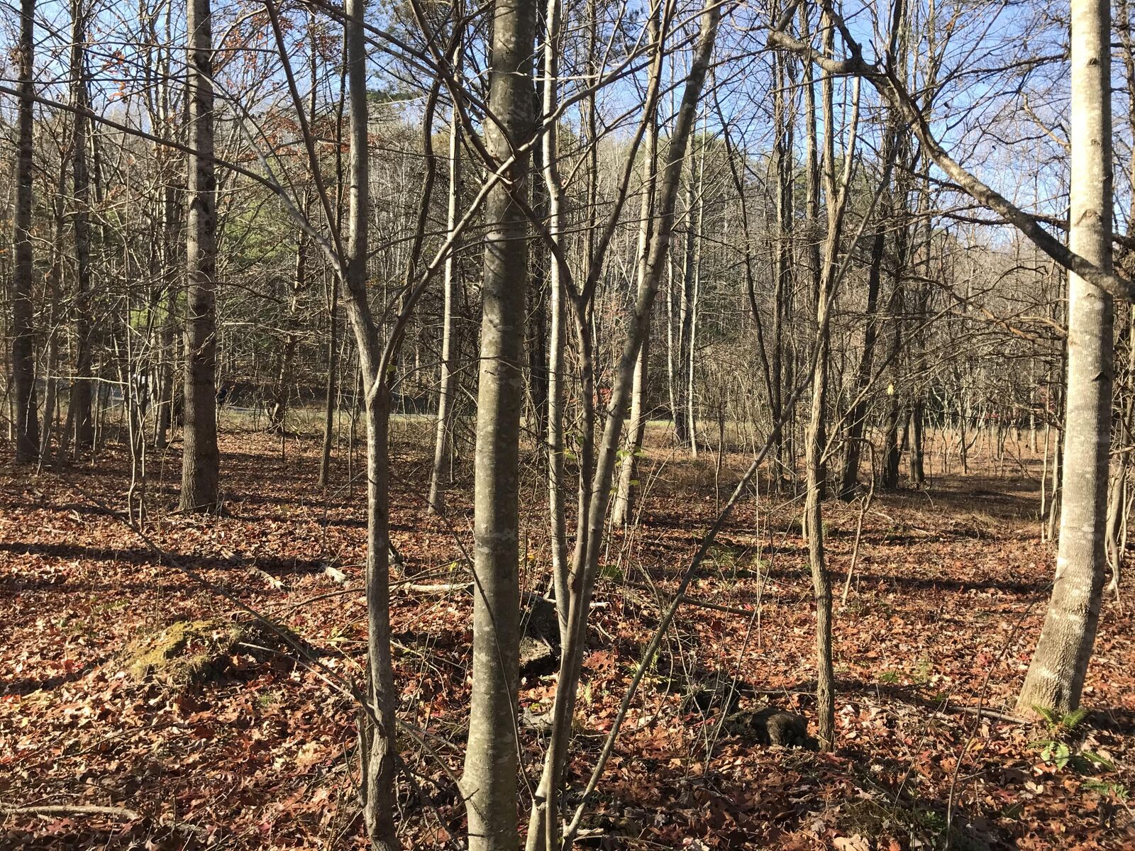 Property Photo: 5 Hobbstown Road TN 37327