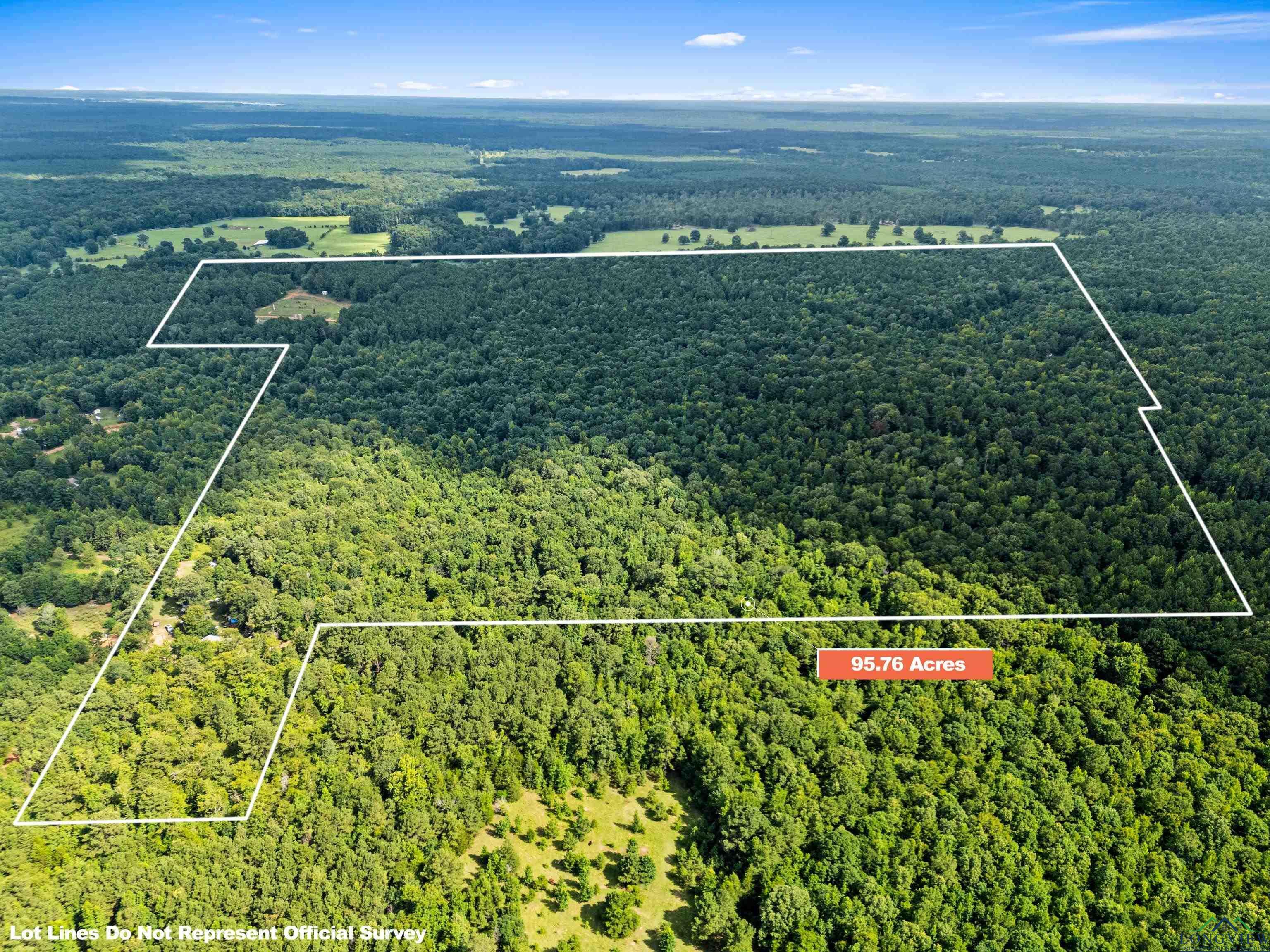 Property Photo: Tbd Fm 805 TX 75657