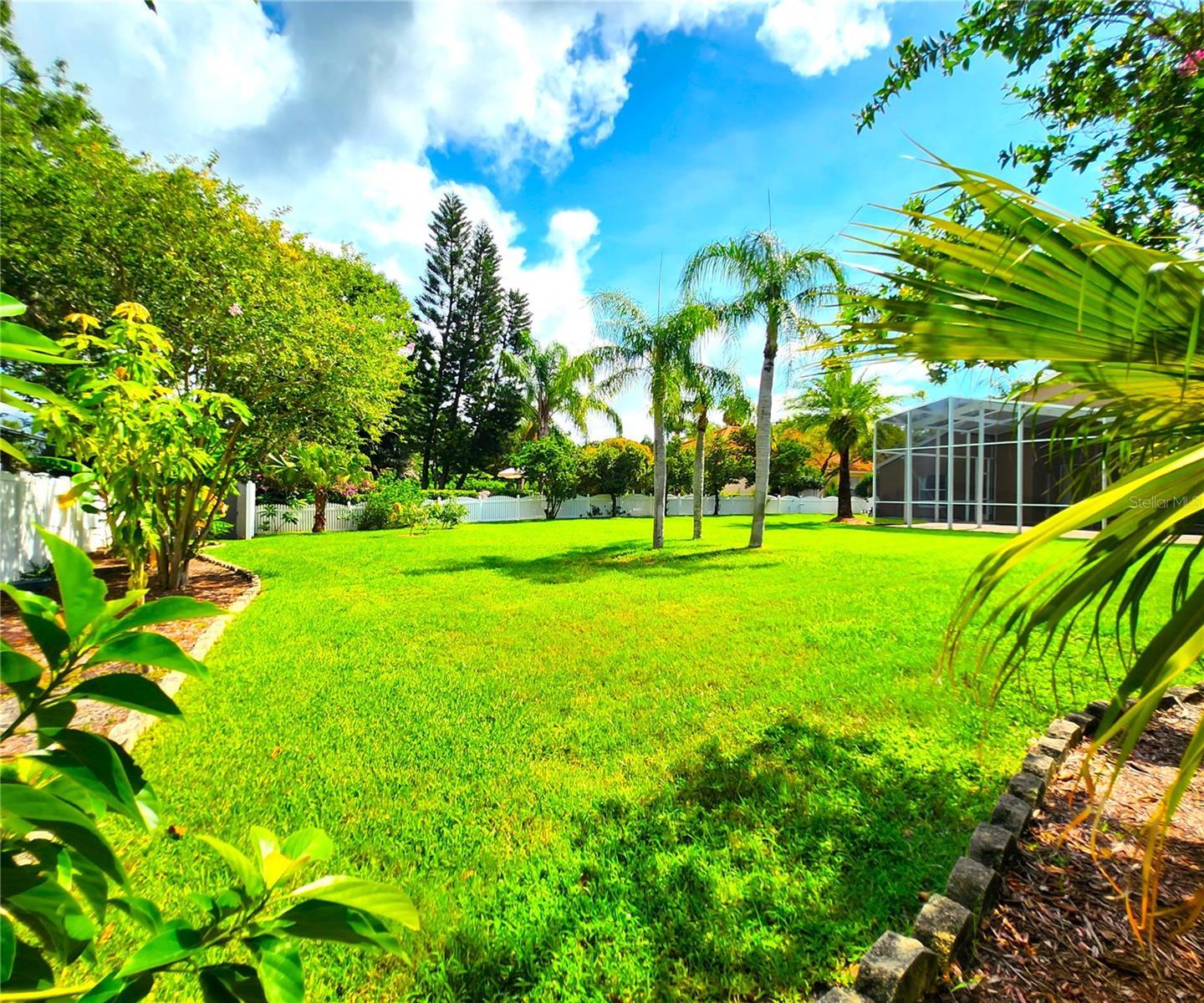 Property Photo: 15008 Arbor Hollow Drive FL 33556