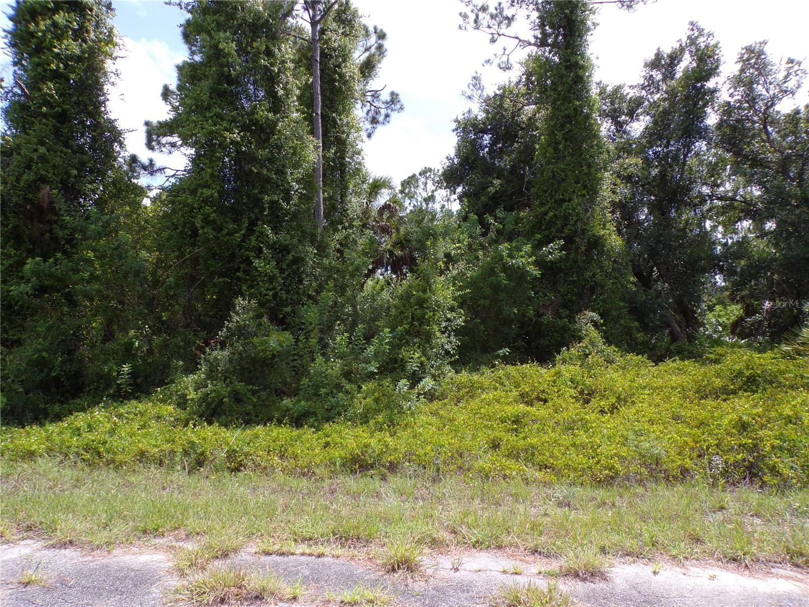 Property Photo: Ironside Street FL 34288