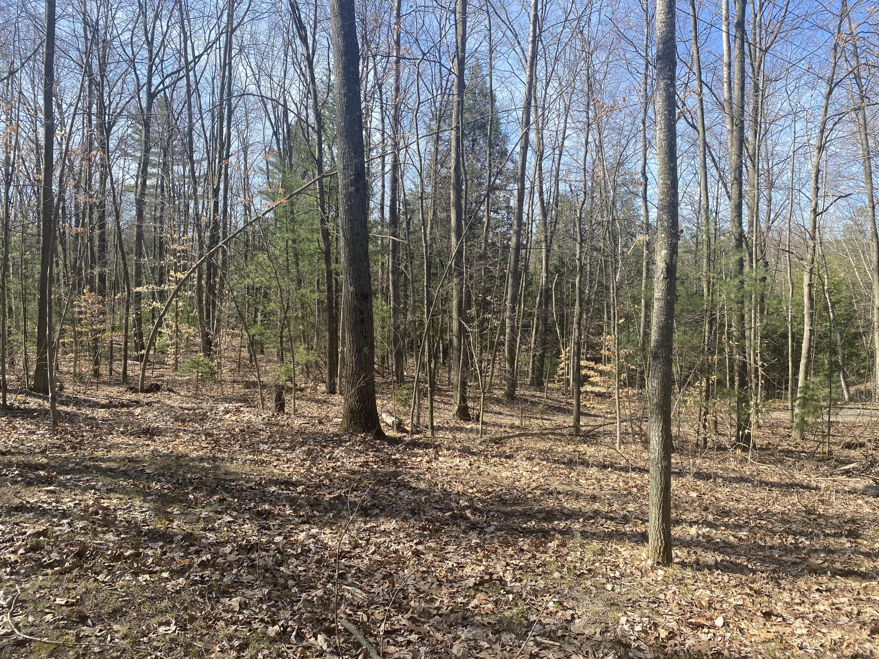 Property Photo: 9019 John Street MI 49332