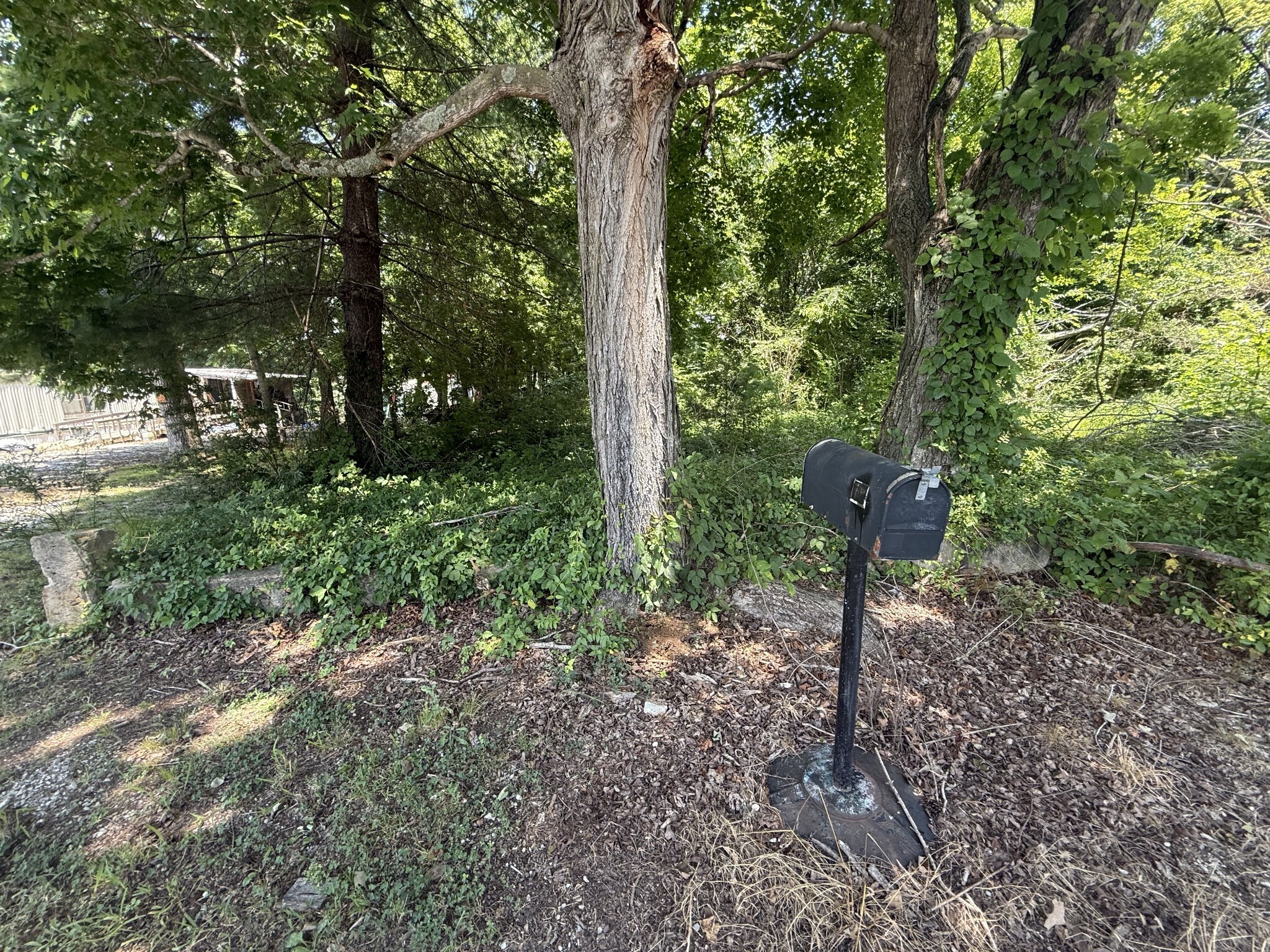 Property Photo:  60 Lees Ford Ln  TN 37398 