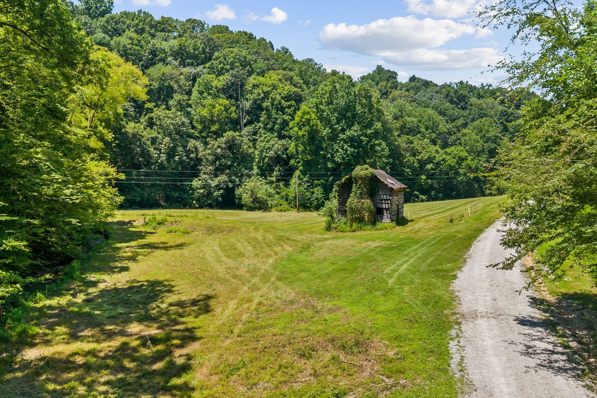 Property Photo:  5307 Drury Creek Trl  TN 37064 