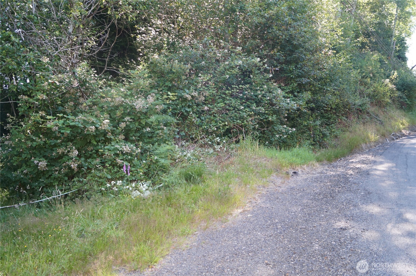 Property Photo:  0 Nka  Bigelow Drive  WA 98520 