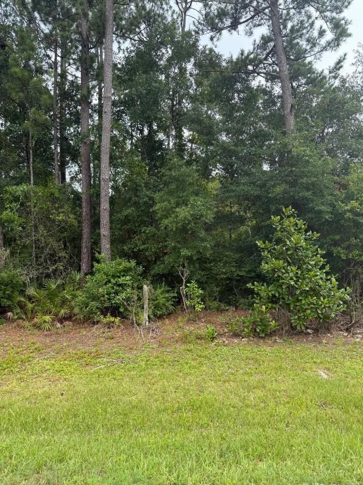 Property Photo:  NE County Road 67  FL 32334-0000 