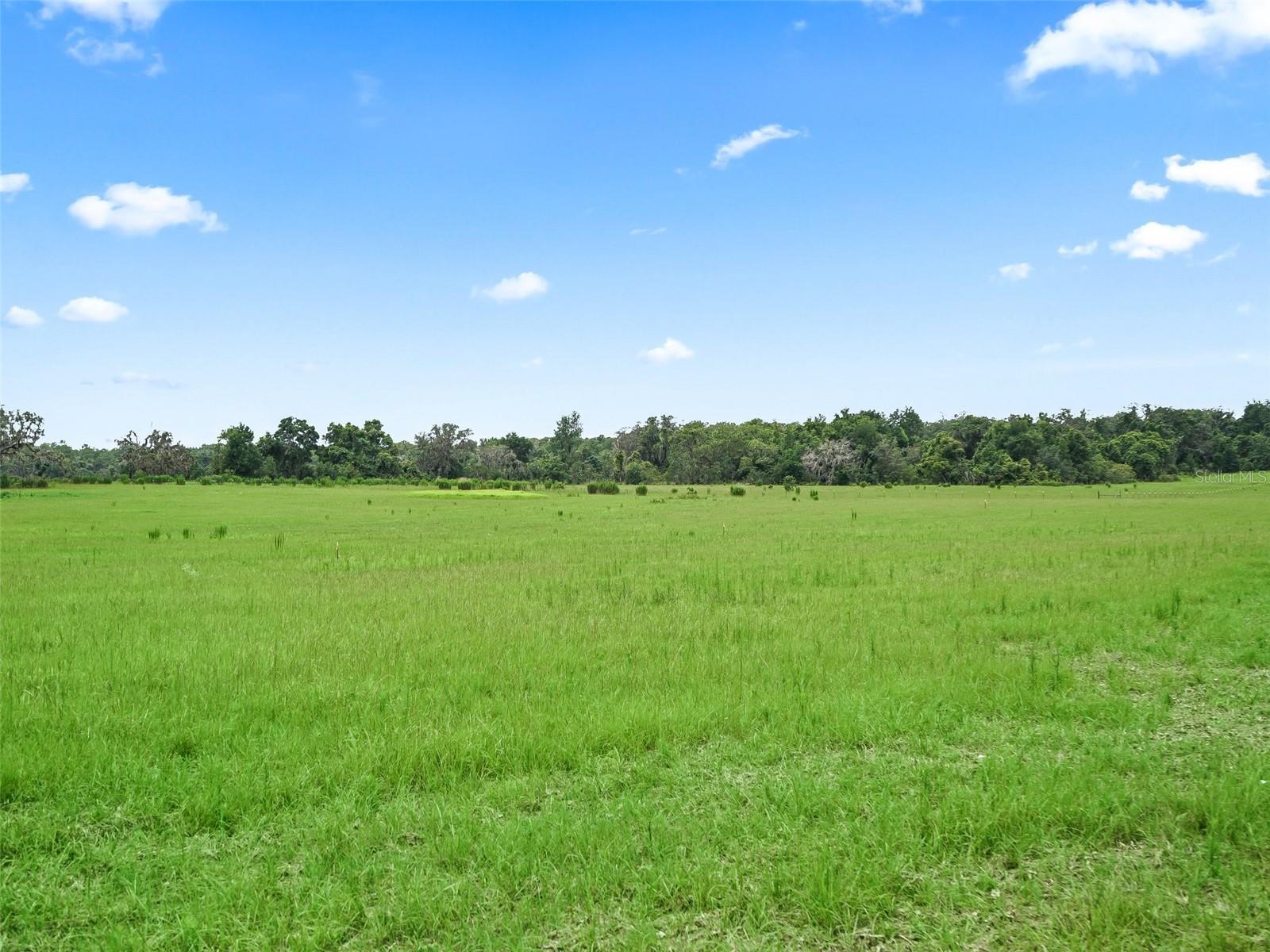 Property Photo: Cr 635 FL 33513