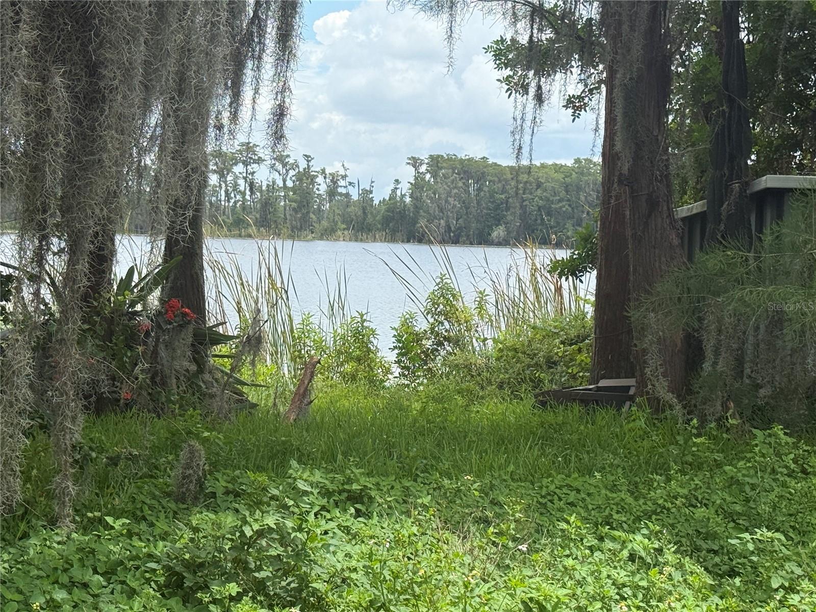 Property Photo:  17137 Arrow Head Boulevard  FL 34787 