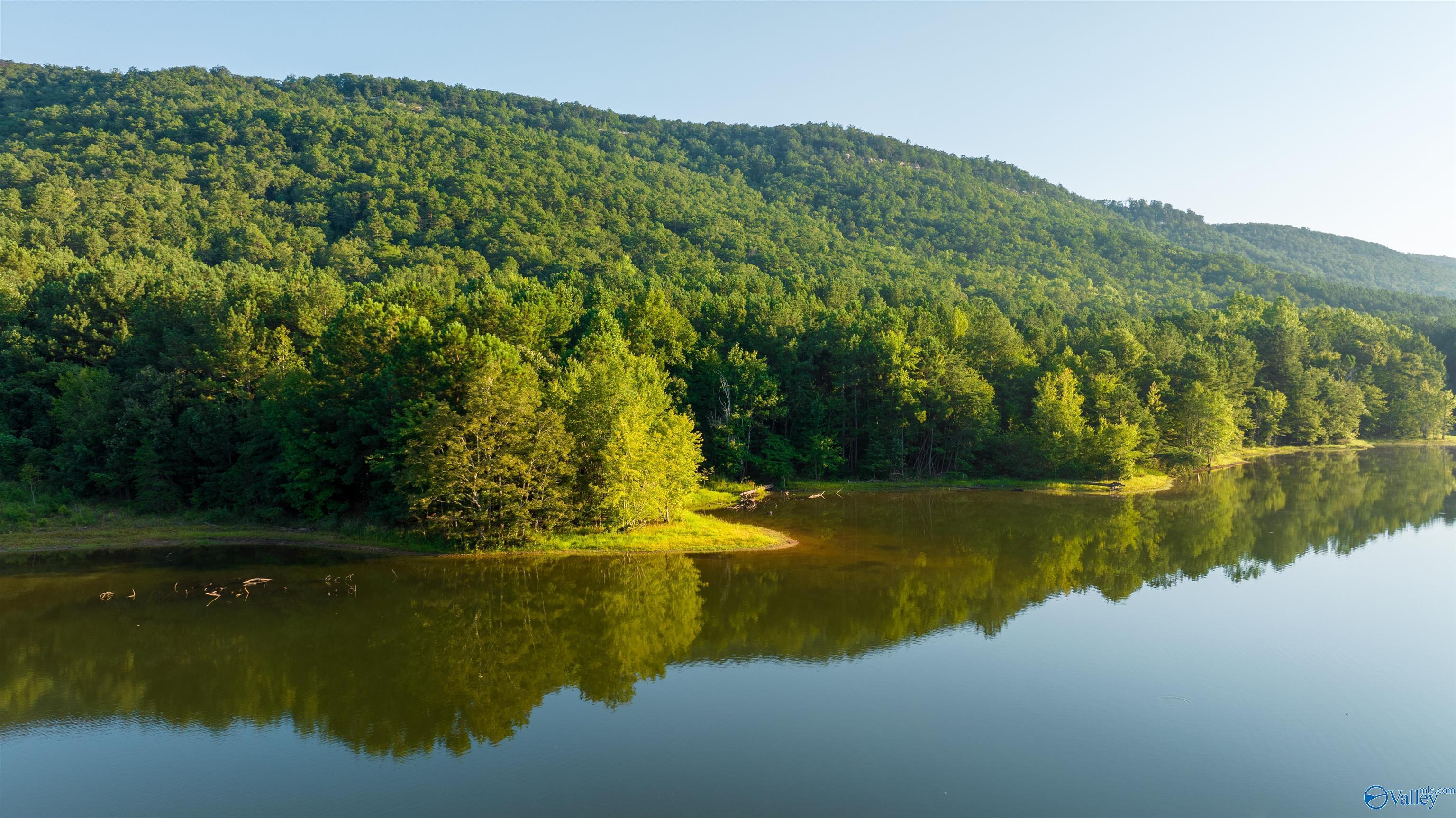 Property Photo: 1,157 Ac County Road 505 AL 35983