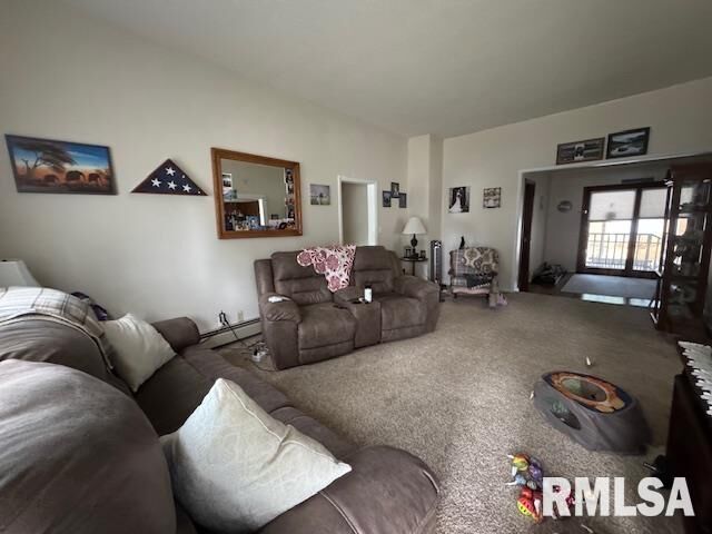 Property Photo: 303 Elles Avenue IL 62918