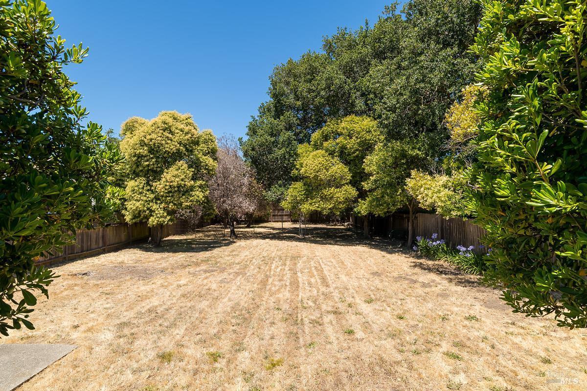 1216 Vallejo Avenue  Novato CA 94945 photo