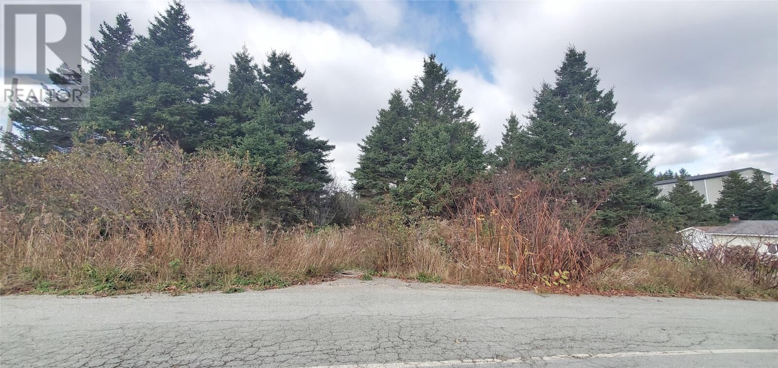 Property Photo:  15 Bayview Street  NL A0E 2M0 