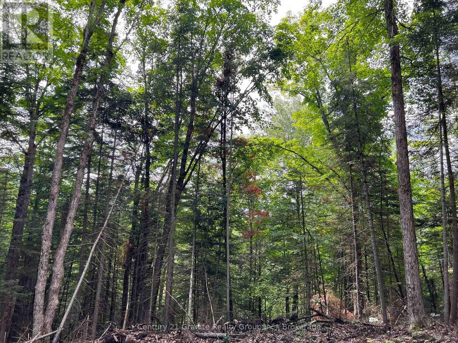 Property Photo:  Lot 26 West Court  ON K0M 1S0 