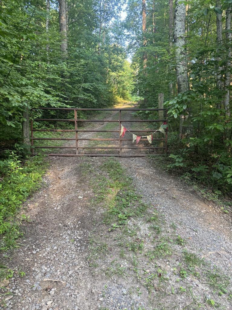Property Photo: Backus Mountain Road WV 25976